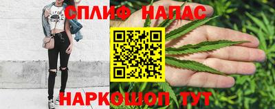 прущие грибы Туймазы