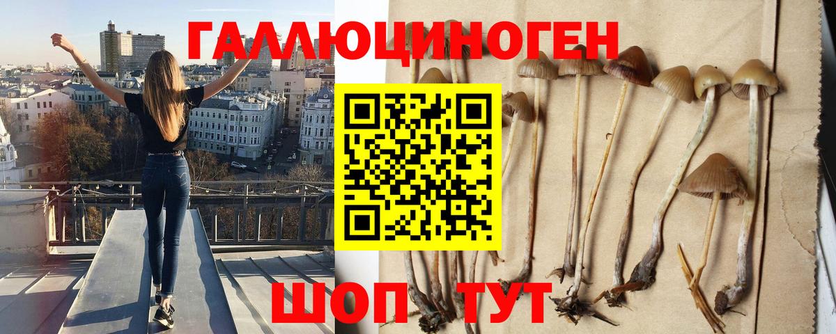 Псилоцибиновые грибы прущие грибы Королёв