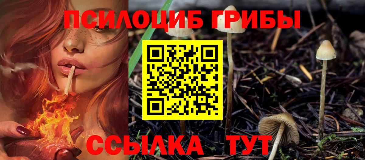 Королёв  Галлюциногенные грибы мицелий  Вход с VPN 